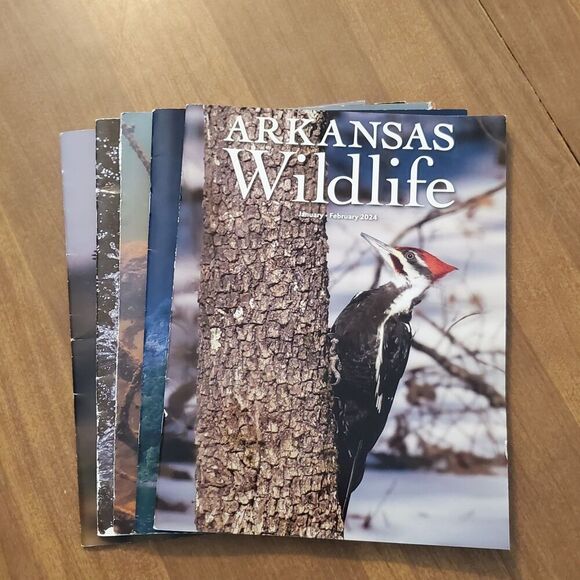 Lot of 5 Arkansas Wildlife Magazine 2023 - Picture 1 of 7